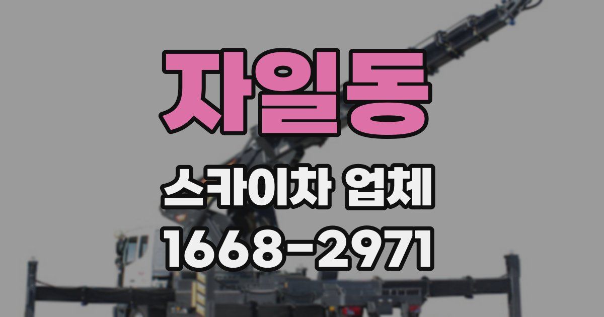 자일동 스카이차 업체