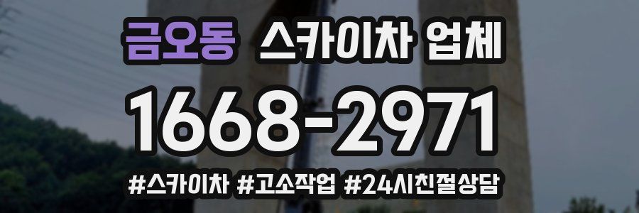 금오동 스카이차 업체