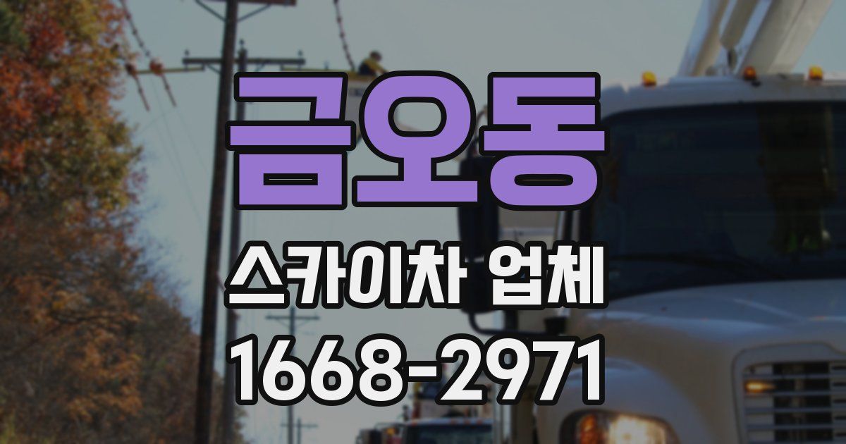 금오동 스카이차 업체