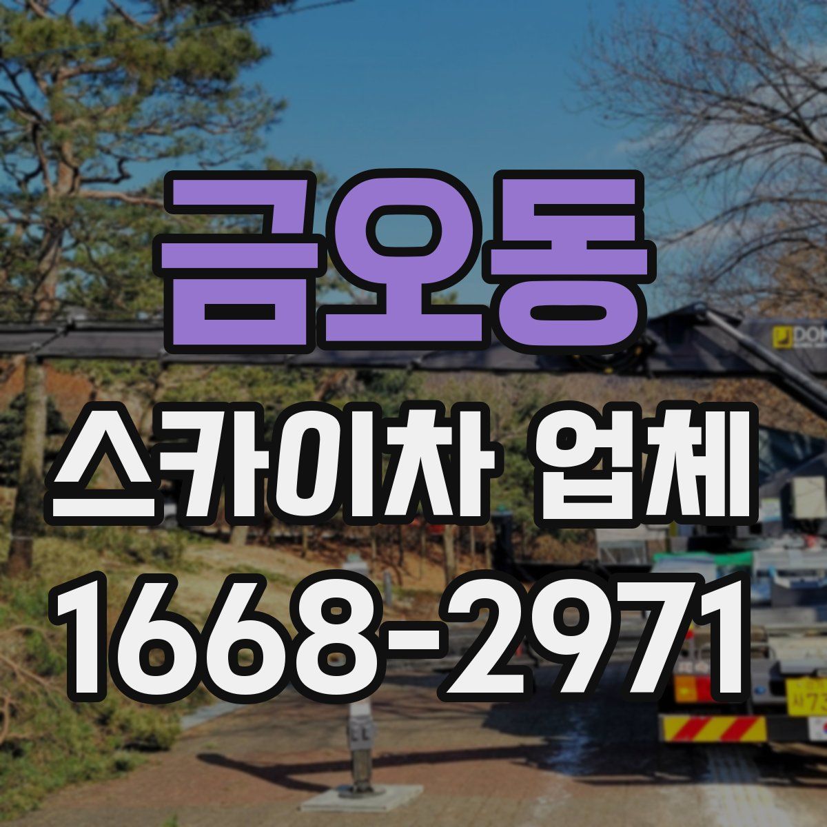금오동 스카이차 업체