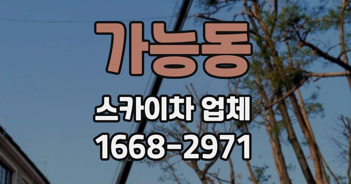 가능동 스카이차 업체