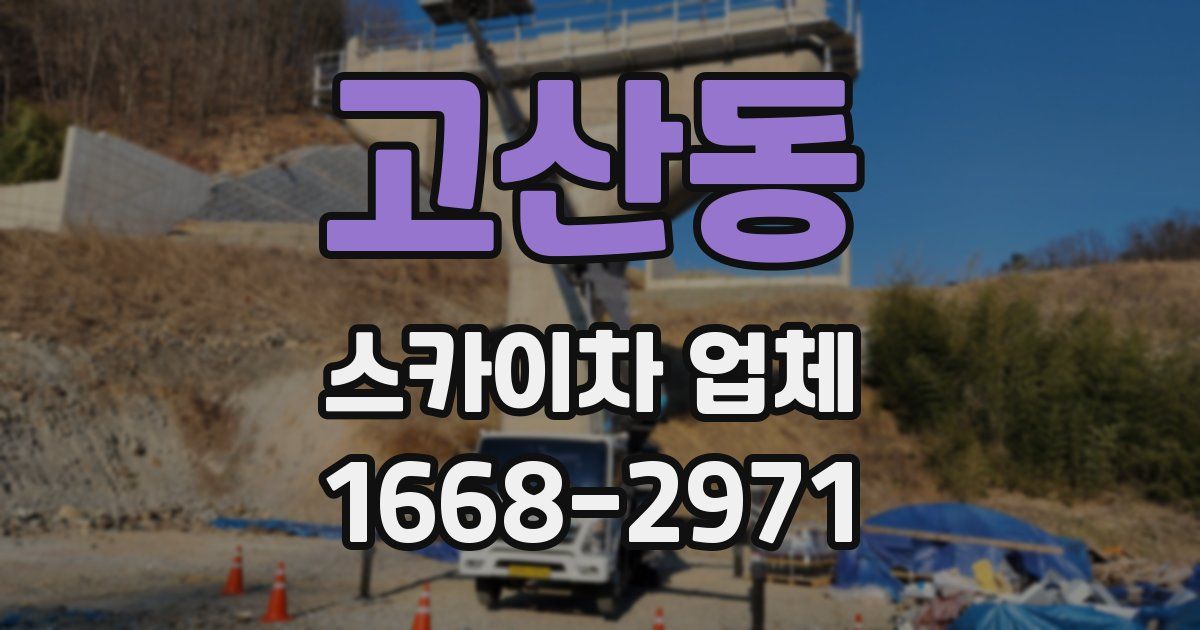 고산동 스카이차 업체