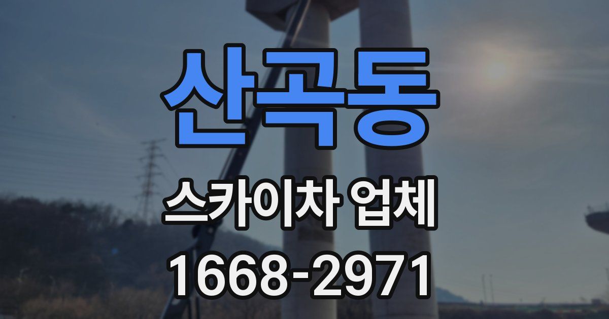 산곡동 스카이차 업체