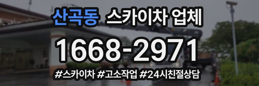 산곡동 스카이차 업체