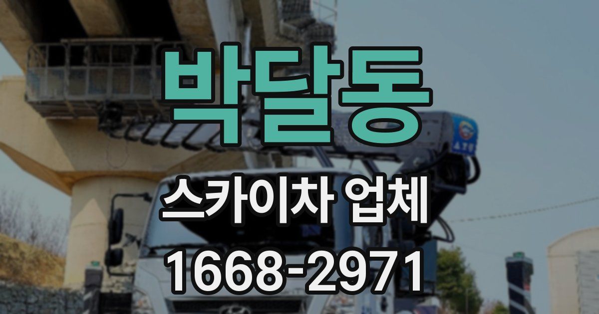 박달동 스카이차 업체