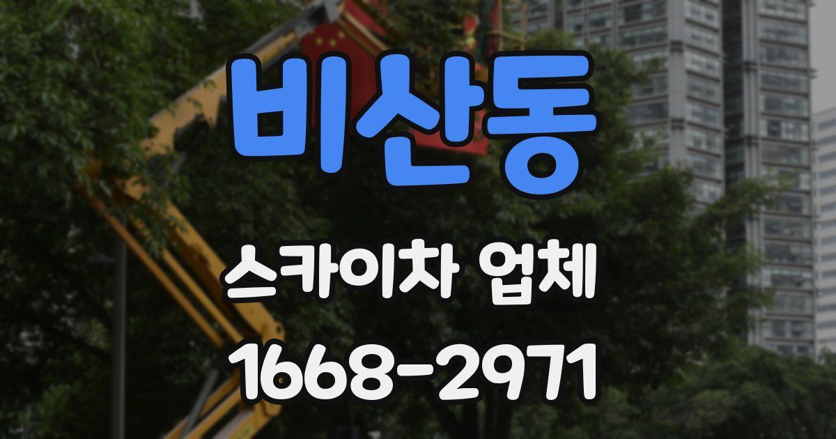 비산동 스카이차 업체