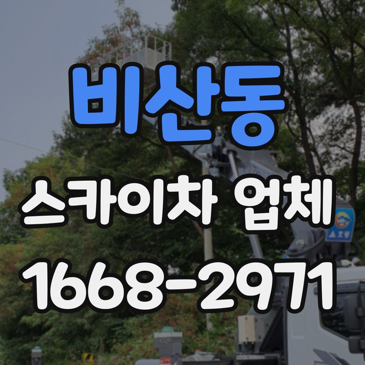 비산동 스카이차 업체