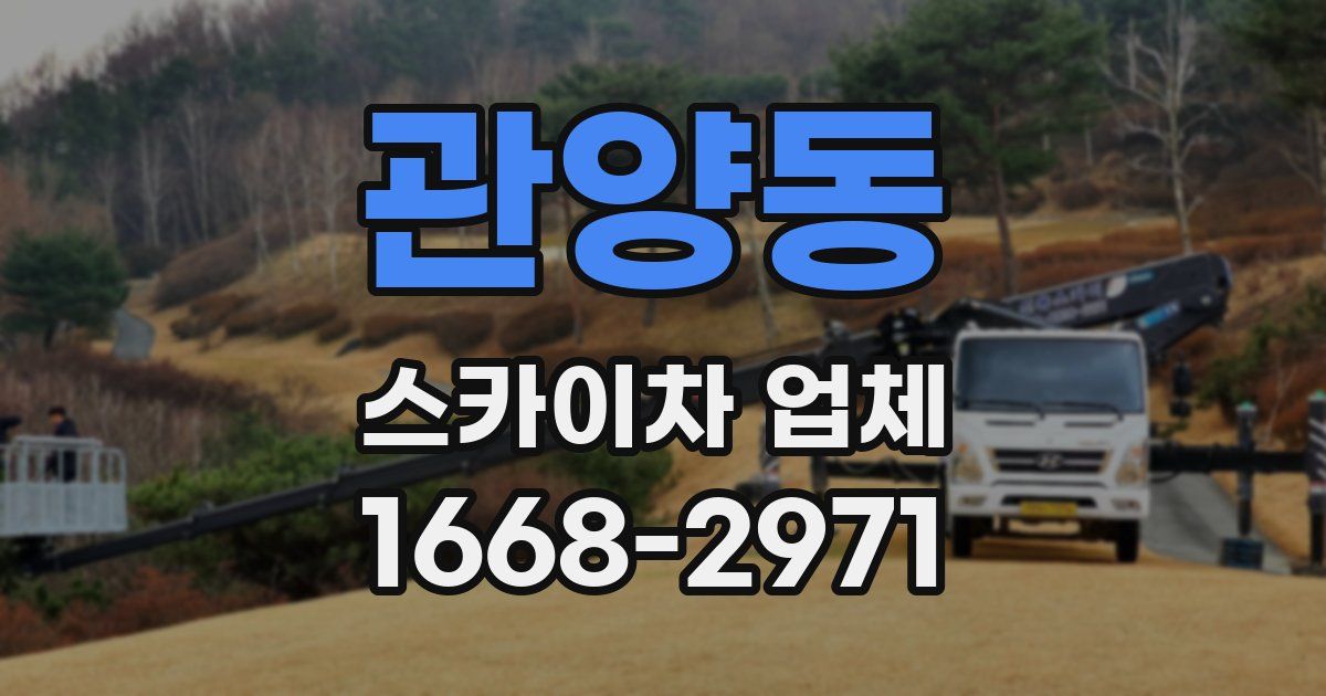 관양동 스카이차 업체