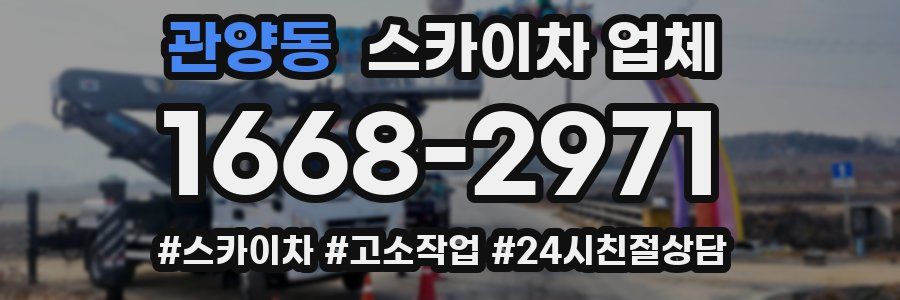 관양동 스카이차 업체