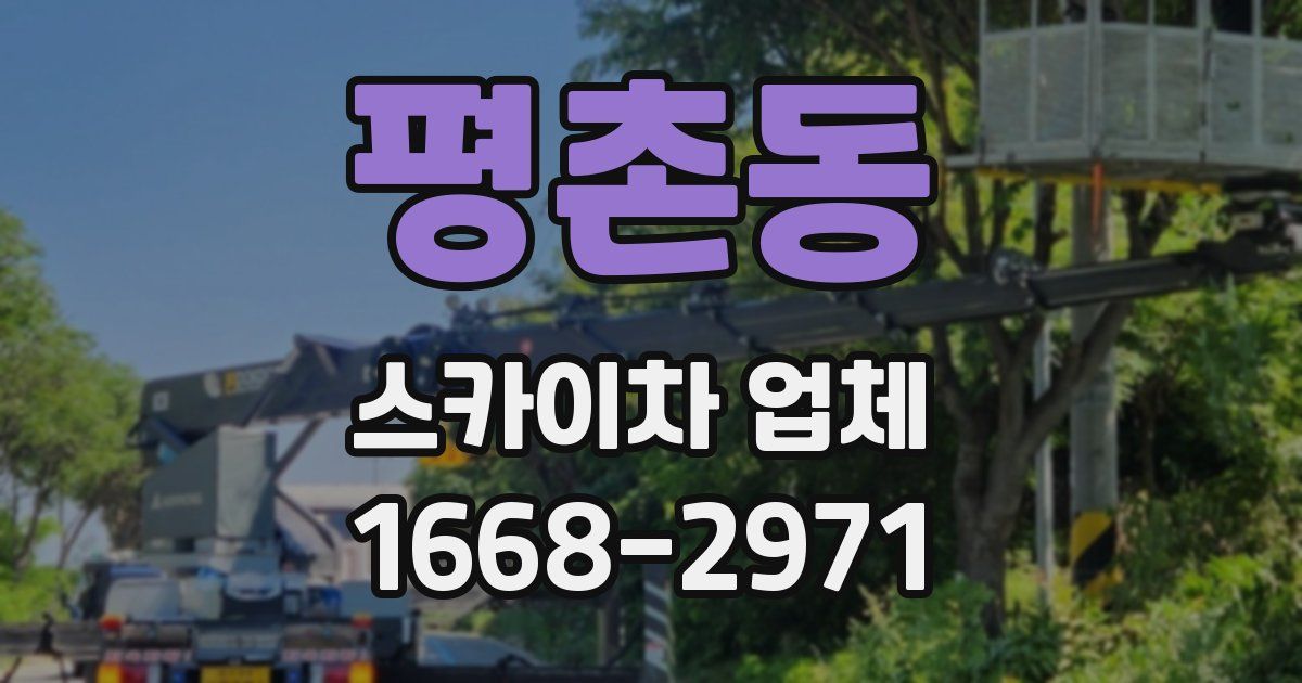 평촌동 스카이차 업체
