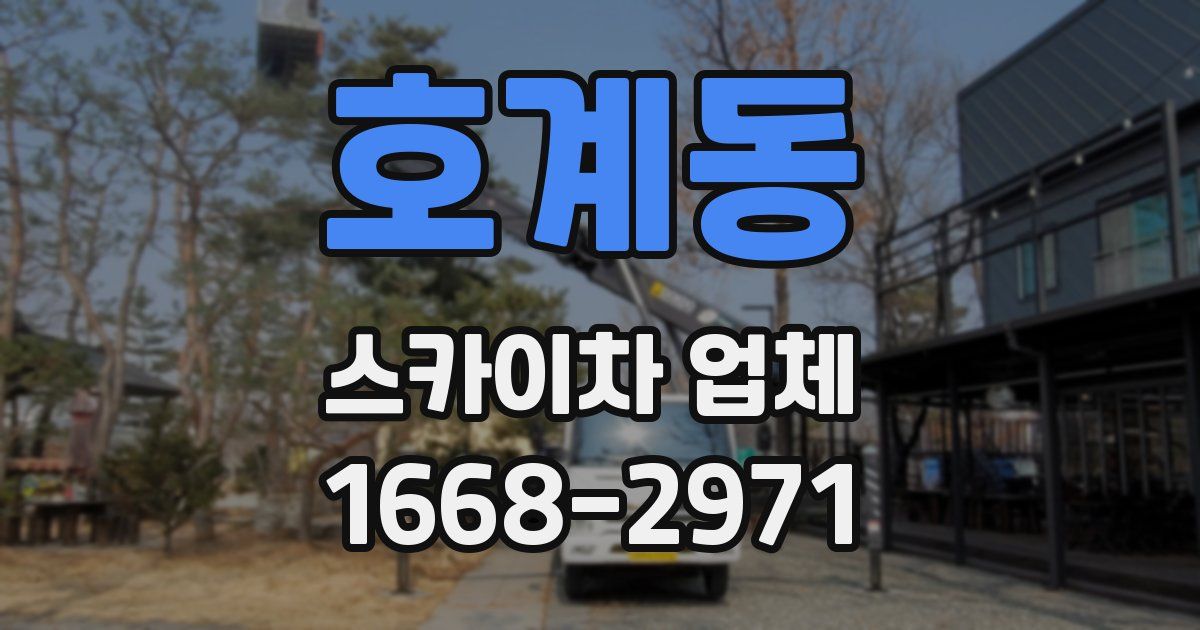 호계동 스카이차 업체