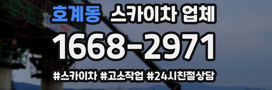 호계동 스카이차 업체