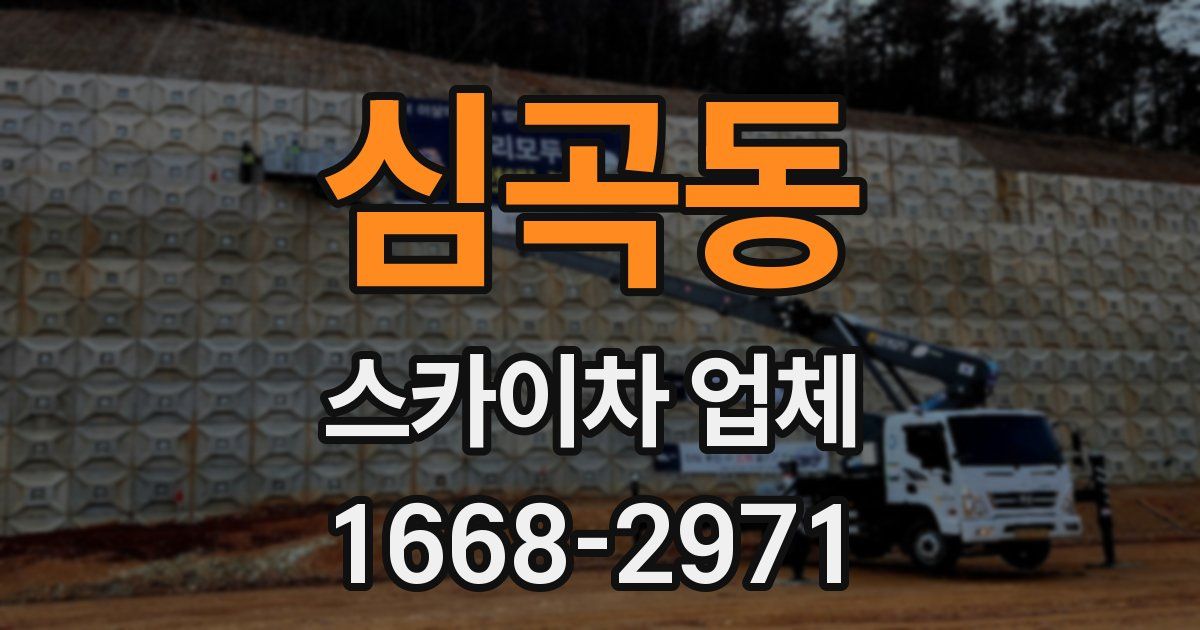 심곡동 스카이차 업체