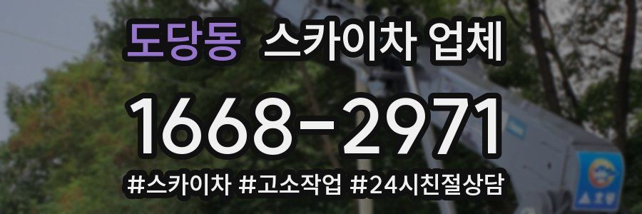 도당동 스카이차 업체