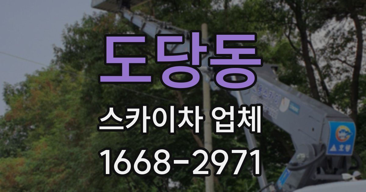 도당동 스카이차 업체