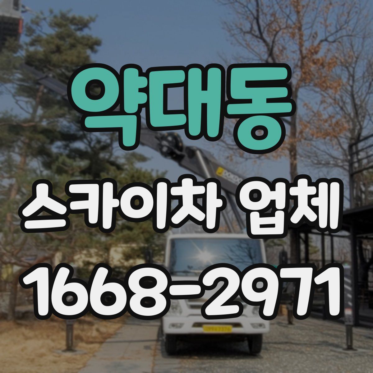 약대동 스카이차 업체