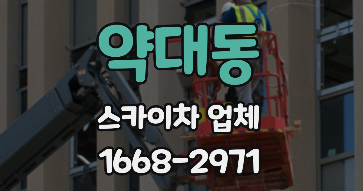 약대동 스카이차 업체