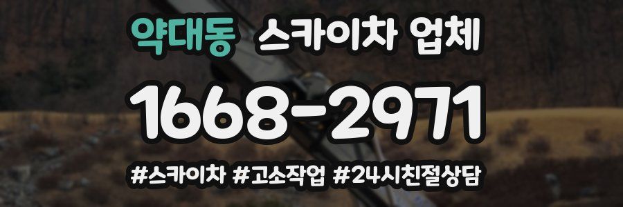 약대동 스카이차 업체