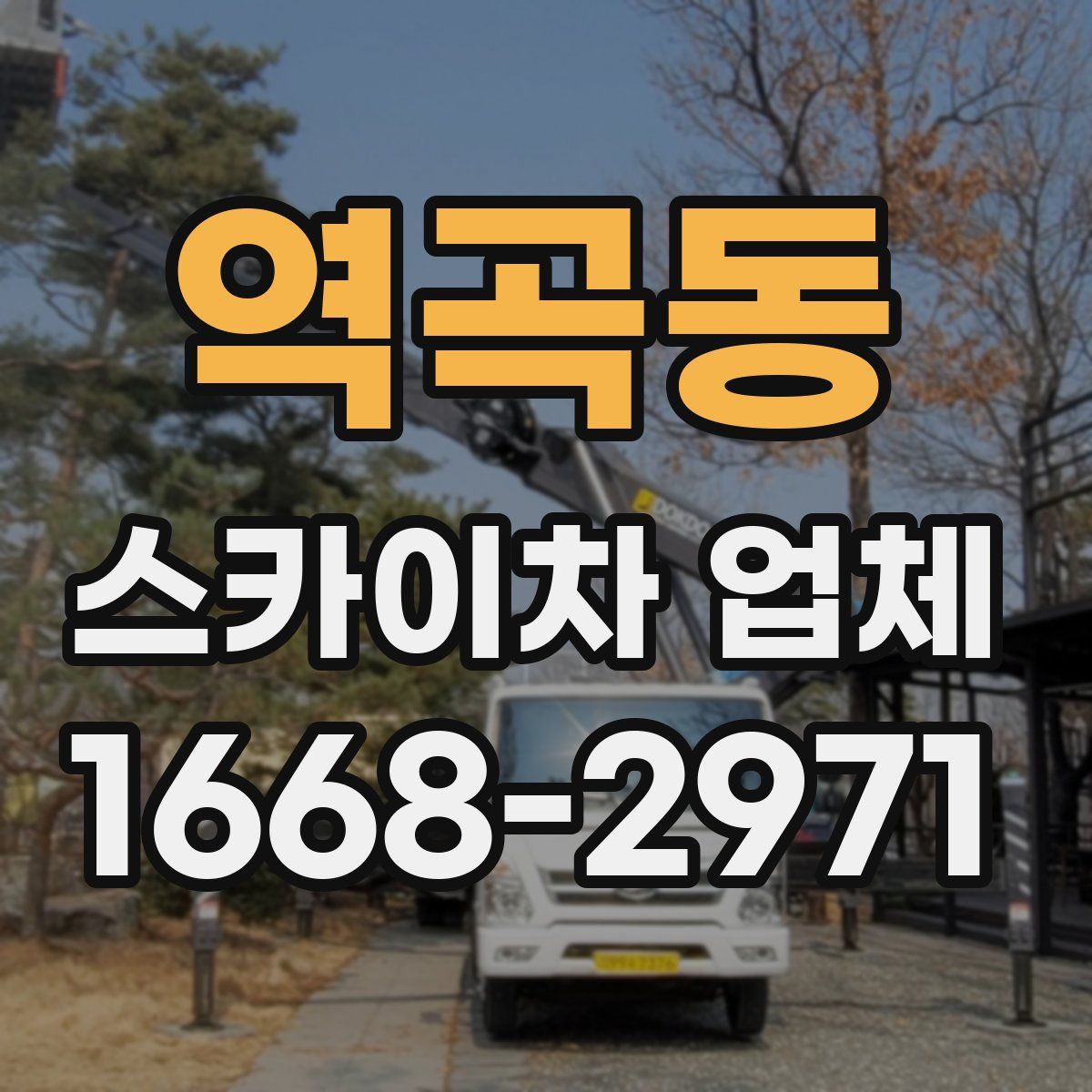 역곡동 스카이차 업체
