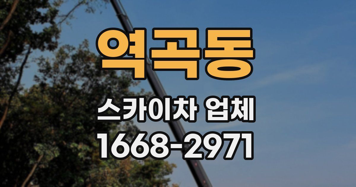 역곡동 스카이차 업체