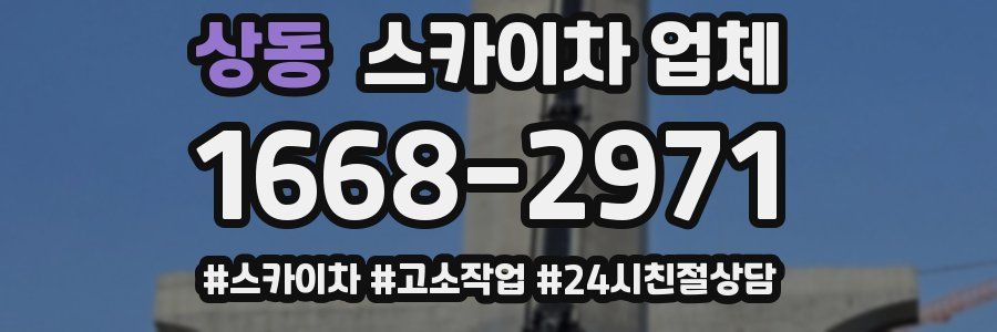 상동 스카이차 업체