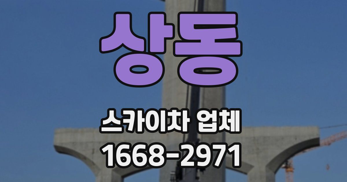 상동 스카이차 업체