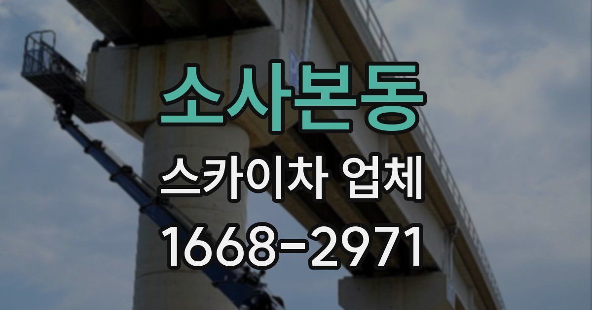 소사본동 스카이차 업체