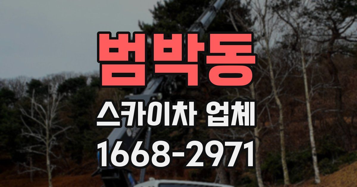 범박동 스카이차 업체