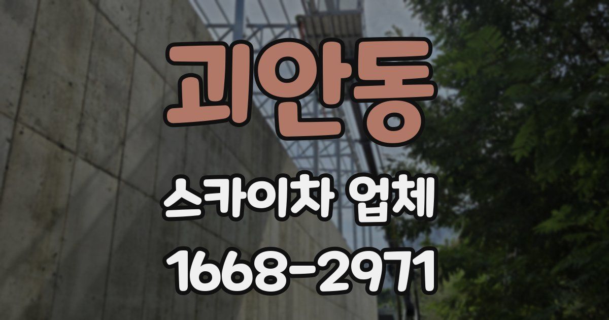 괴안동 스카이차 업체
