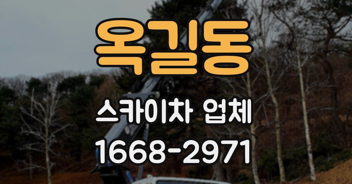 옥길동 스카이차 업체
