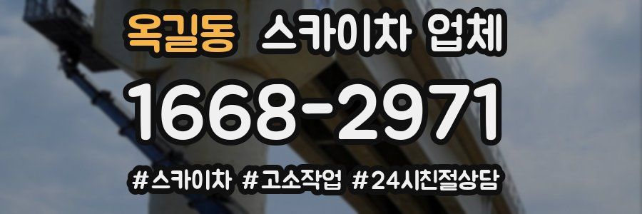 옥길동 스카이차 업체