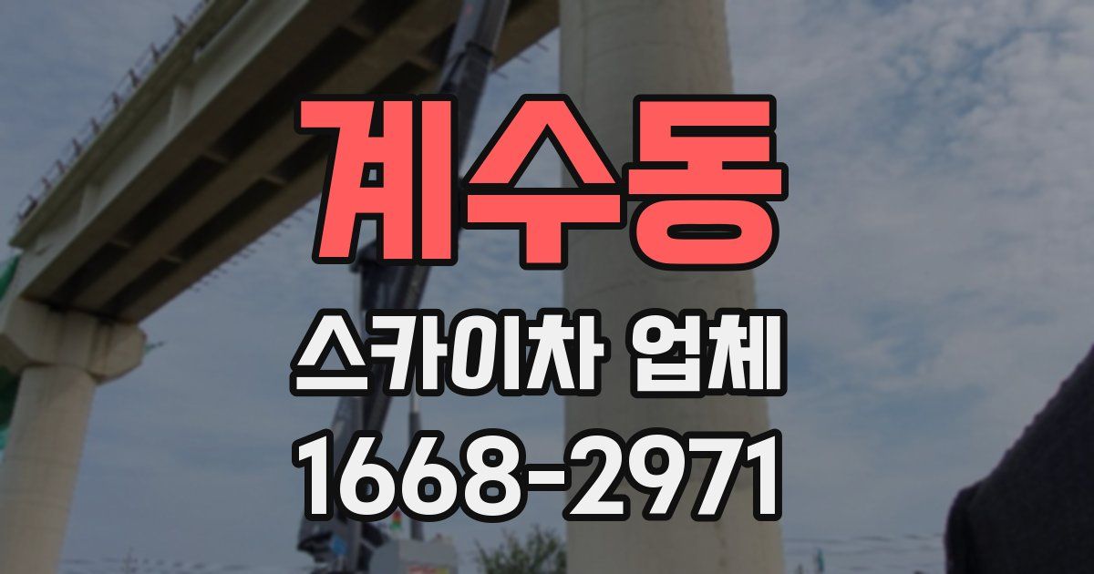 계수동 스카이차 업체