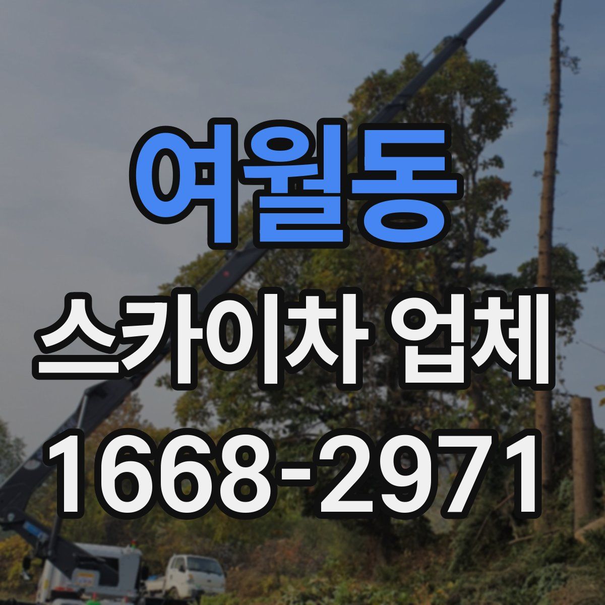 여월동 스카이차 업체