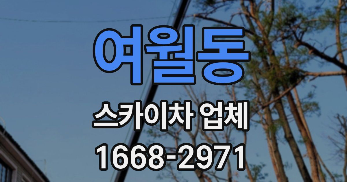 여월동 스카이차 업체