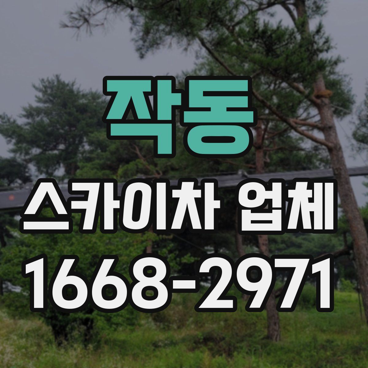작동 스카이차 업체
