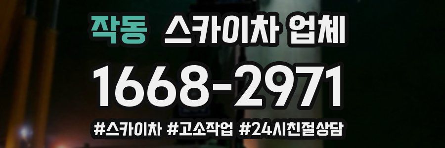 작동 스카이차 업체