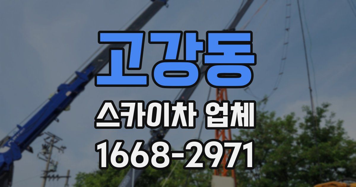 고강동 스카이차 업체