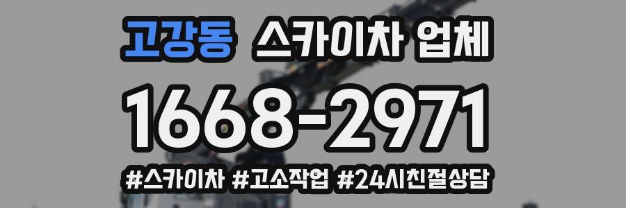 고강동 스카이차 업체