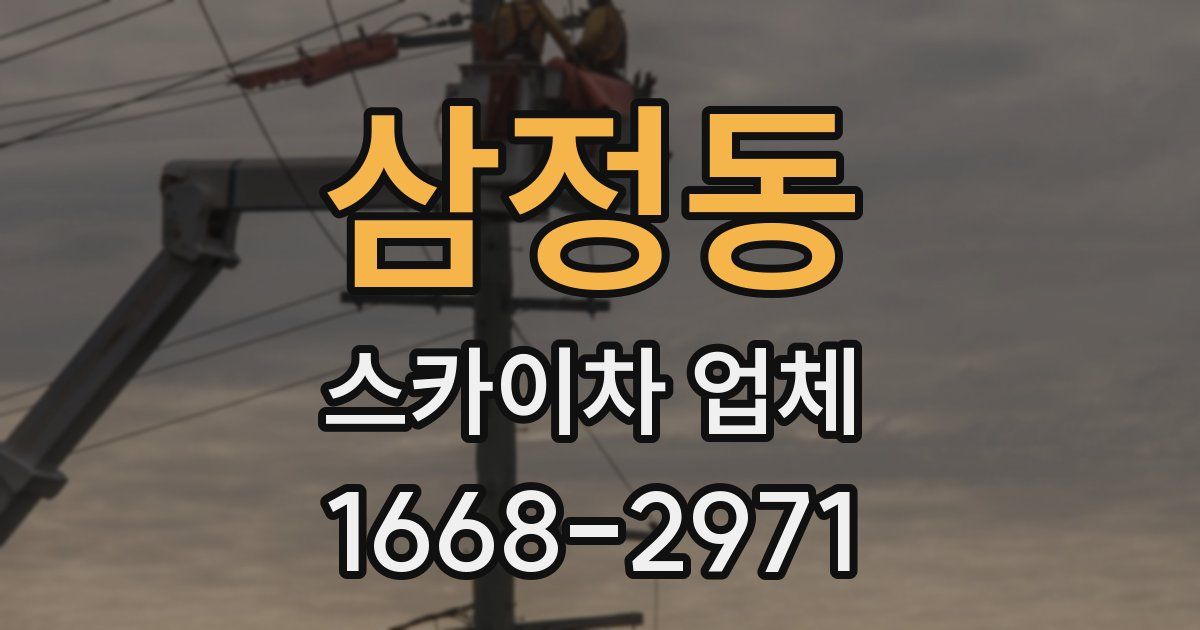 삼정동 스카이차 업체