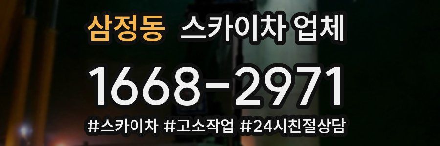 삼정동 스카이차 업체
