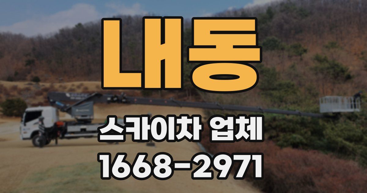 내동 스카이차 업체