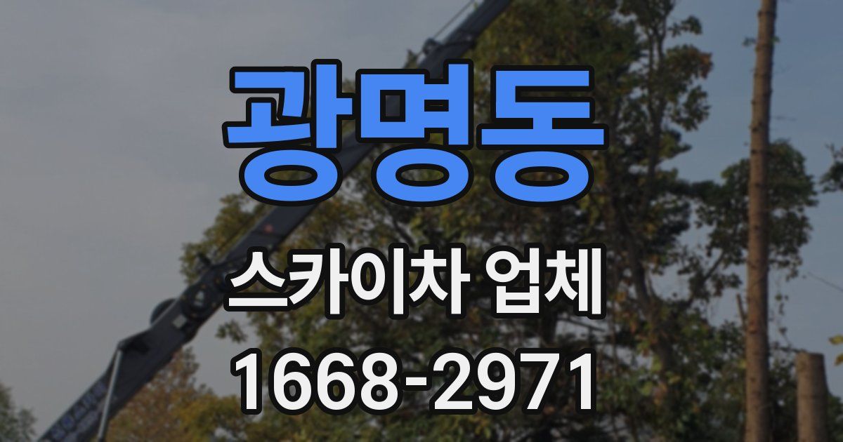 광명동 스카이차 업체