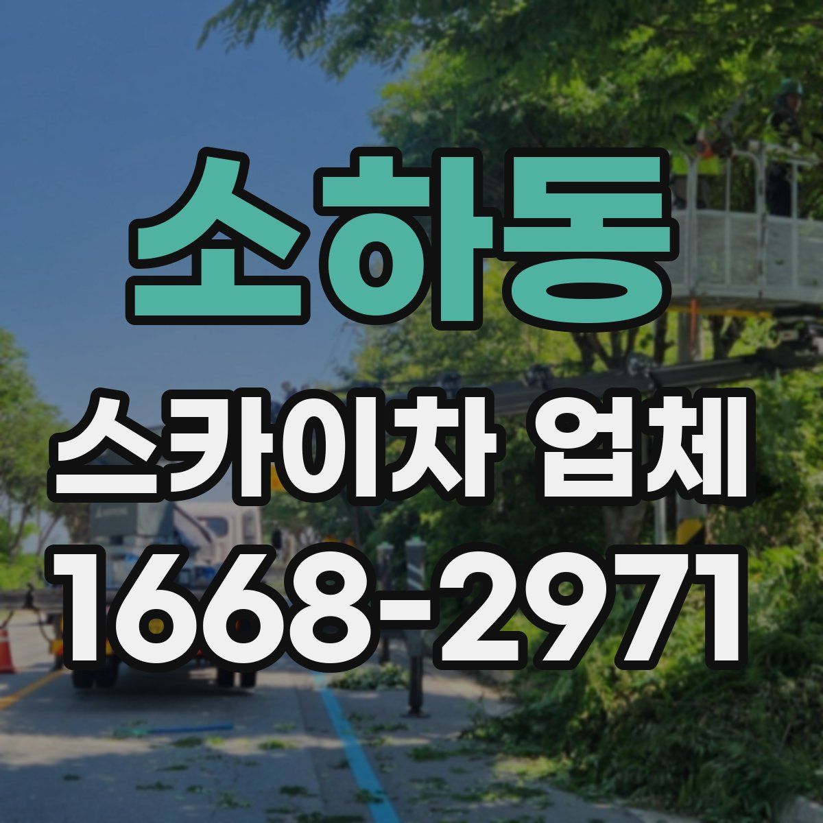 소하동 스카이차 업체