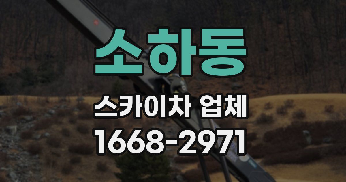 소하동 스카이차 업체