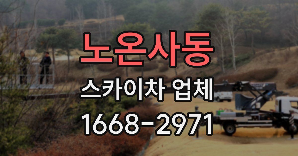 노온사동 스카이차 업체