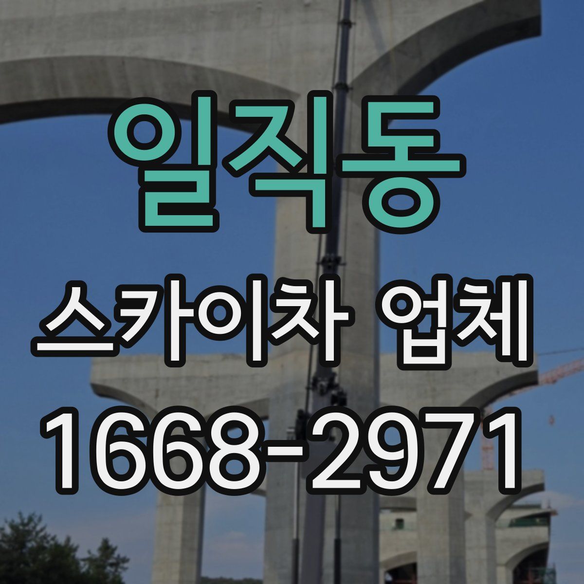 일직동 스카이차 업체