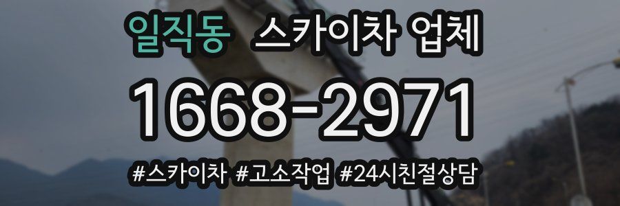일직동 스카이차 업체