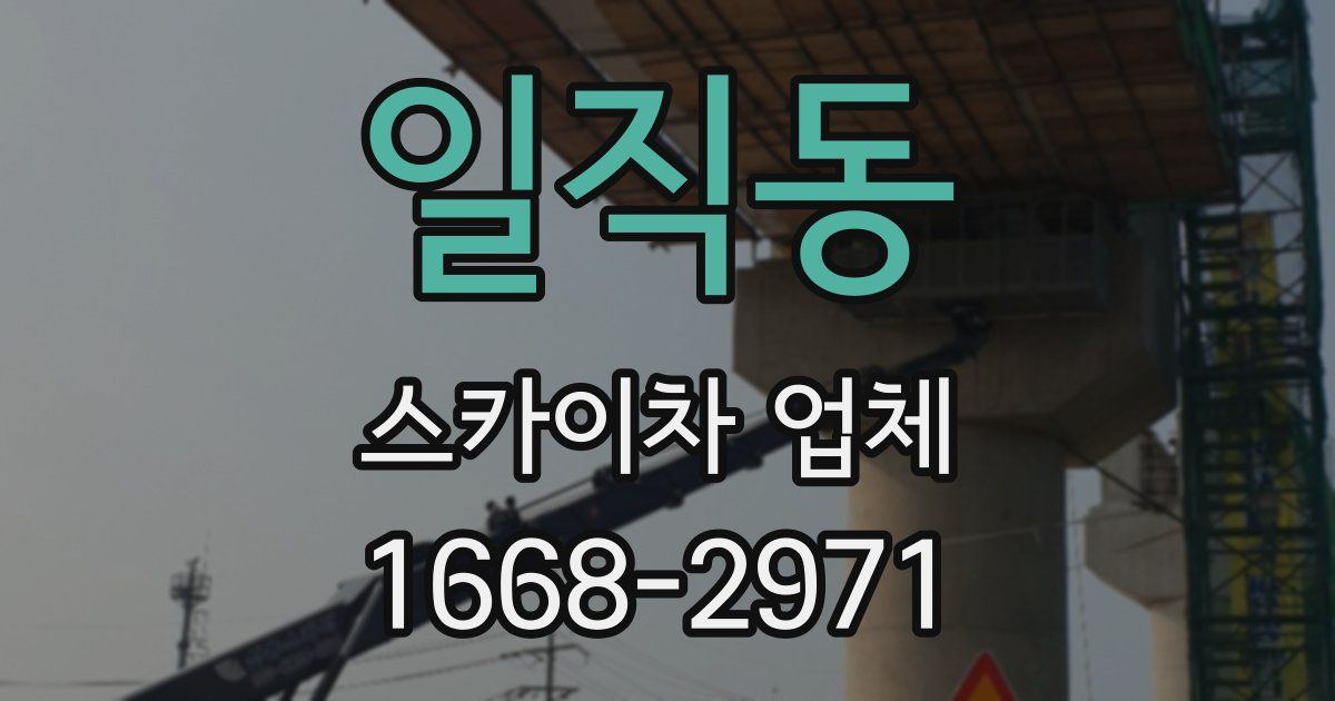 일직동 스카이차 업체