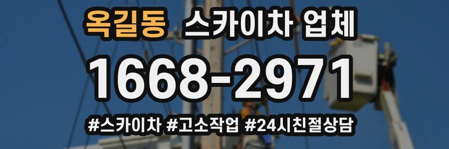 옥길동 스카이차 업체