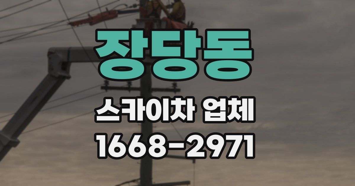 장당동 스카이차 업체